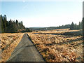 Dostupn� �umava, foto P. S�kora ml.