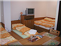 Kuchy�sk� kout, foto E. C�zl